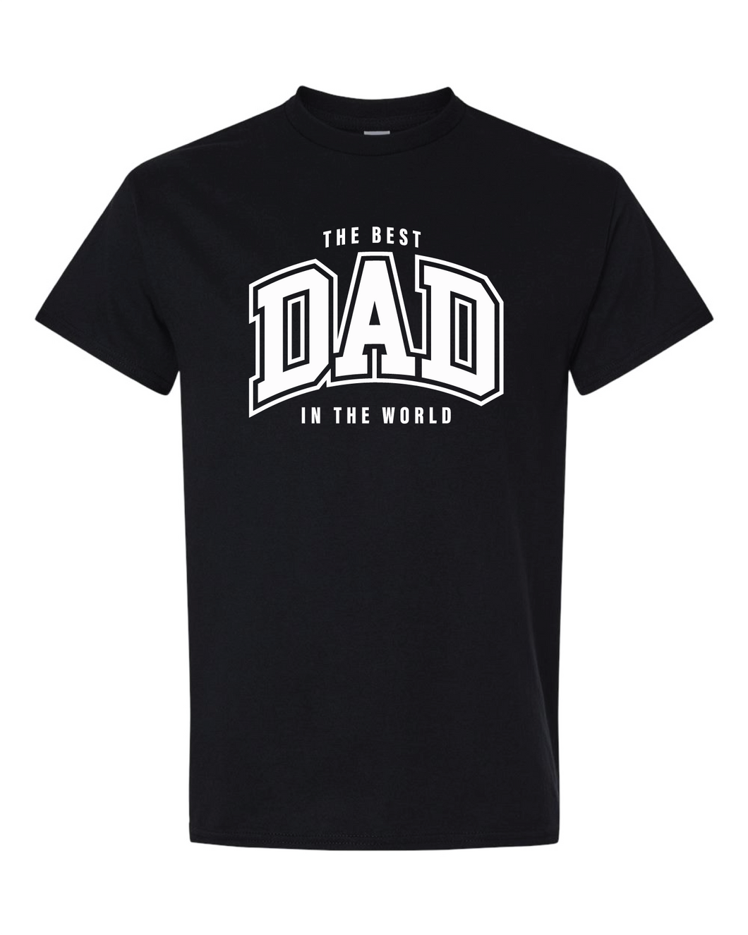 The Best Dad in the World T-Shirt Clearance