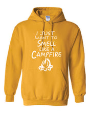 Load image into Gallery viewer, Smell Like A Campfire Hoodies Youth White Letters
