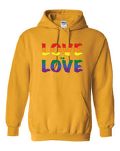 Load image into Gallery viewer, Love Is Love Youth Hoodies
