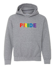Load image into Gallery viewer, Pride Youth Hoodies
