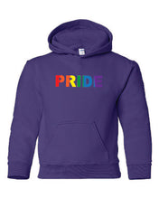 Load image into Gallery viewer, Pride Youth Hoodies
