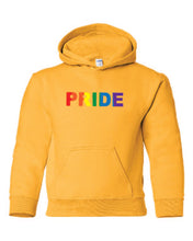 Load image into Gallery viewer, Pride Youth Hoodies
